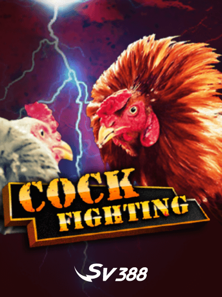 Khám phá thế giới Poker Việt Nam qua các giải đấu hấp dẫn